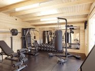 gym log cabin
