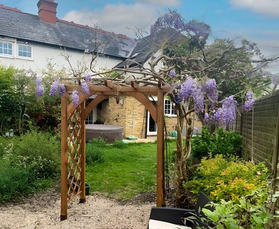 jasmine pergola web