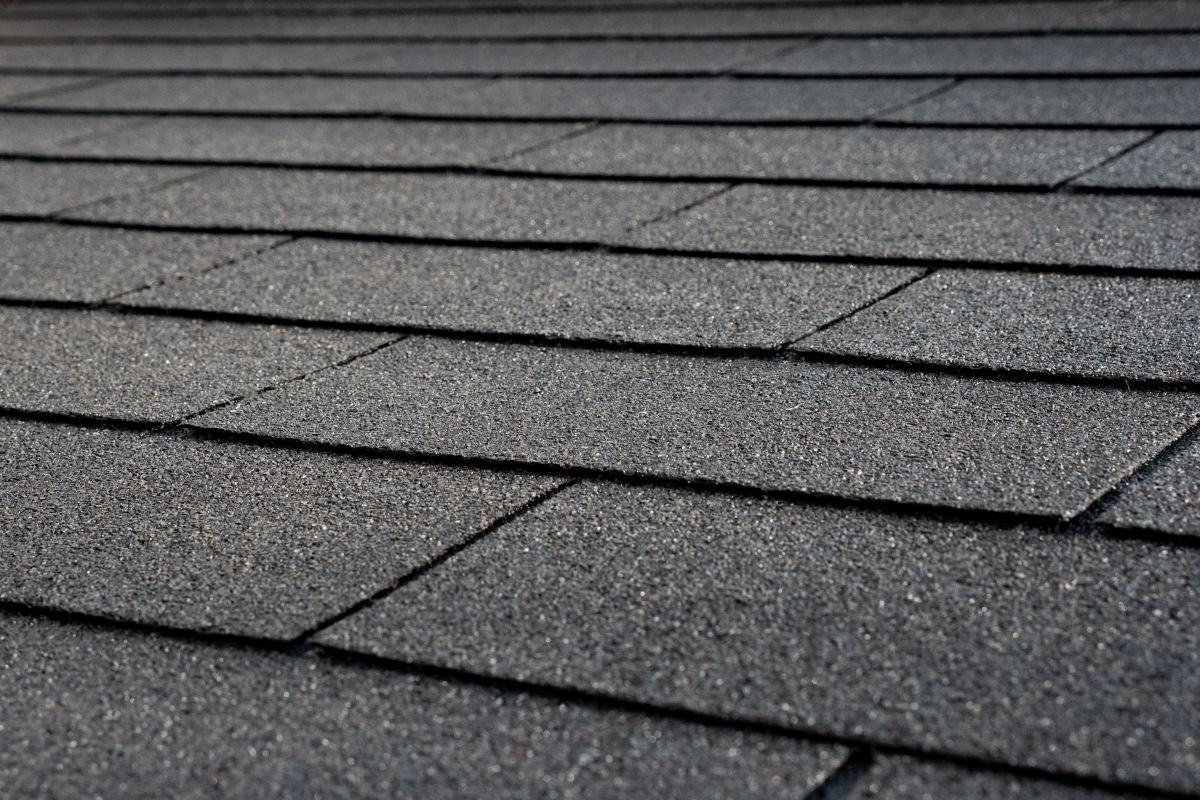 black shingles roof protection dunster house
