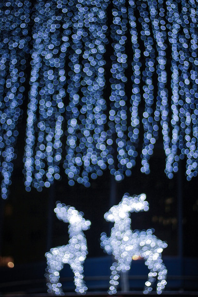 Decorate your Garden for Christmas - Decorations and Outdoor Lights
