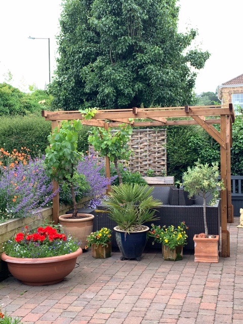 Growing with Pergolas, Planters and Beds - Plant Pots and Containers