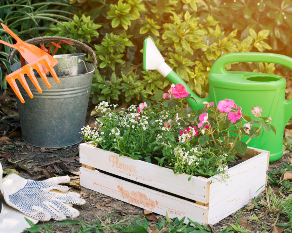 How To Make Your Garden Sustainable