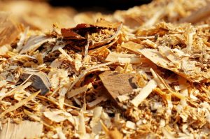 Wood shavings for absorbing water