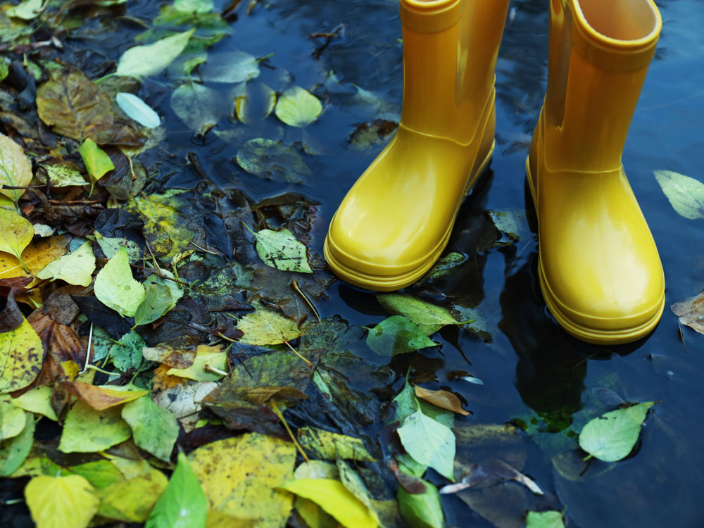 flooded-garden-blog