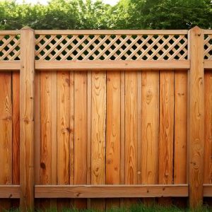 Garden Fence - Trellis Topper