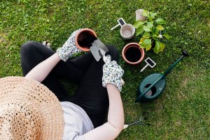 Gardening in the bank holiday