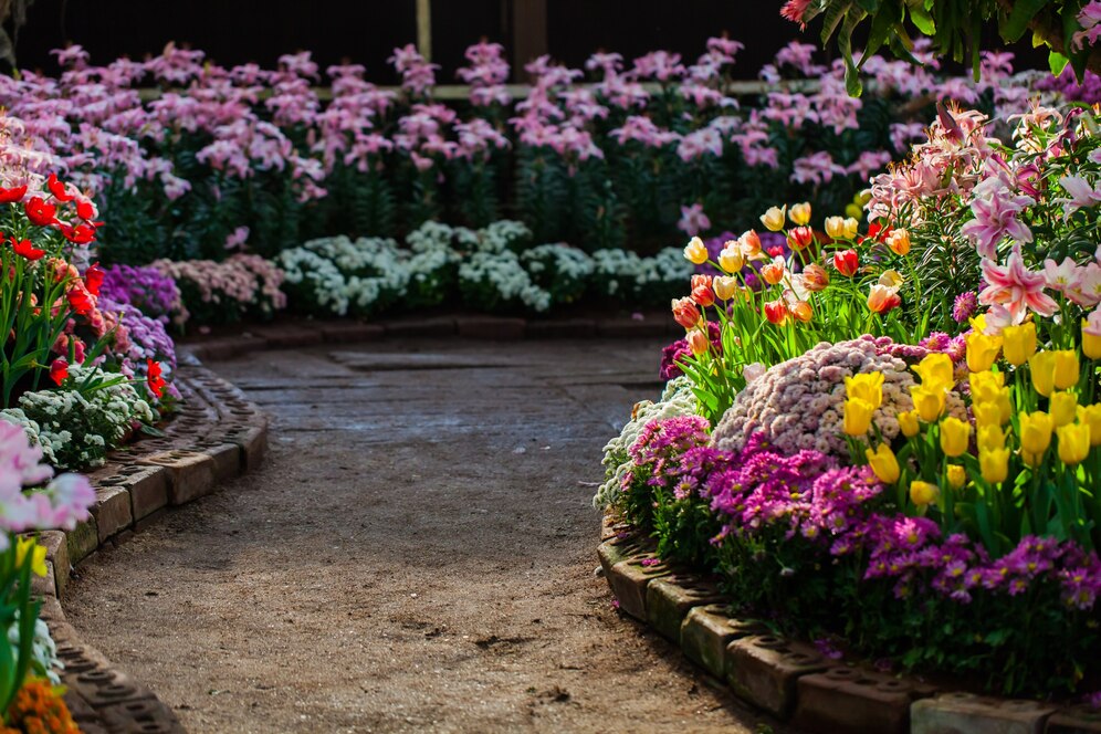 Garden flowers combination with pathway in the middle - freepik