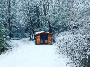 winter-garden